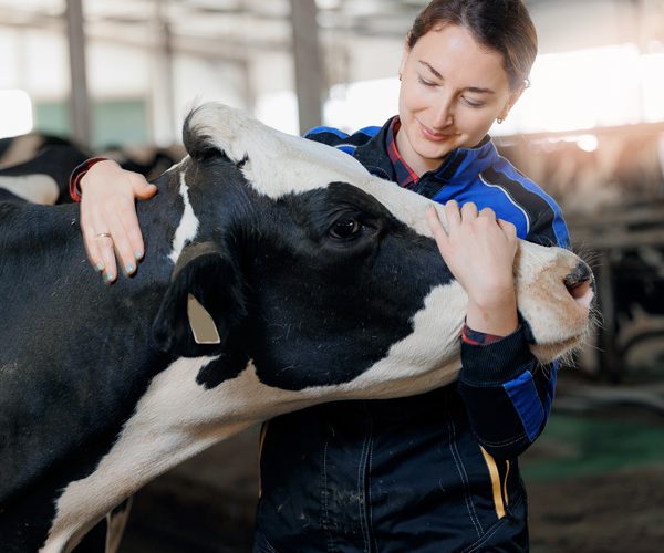 dezinfectant in zootehnie - biclosol 1 dezinfectant in zootehnie - biclosol 1